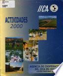 actividades 2000