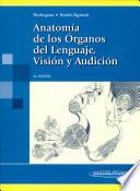 Anatomía de los órganos del lenguaje, visión y audición