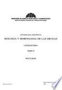 Biología y morfología de las orugas: Noctuidae