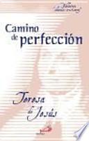 Libro Camino de perfección