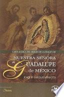 Carta acerca del origen de la imagen de Nuestra Señora de Guadalupe de México