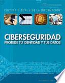Libro Ciberseguridad: protege tu identidad y tus datos (Cybersecurity: Protecting Your Identity and Data)