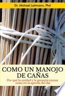 Libro Como un Manojo de Cañas