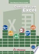 Libro Consultas en Excel
