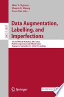 Libro Data Augmentation, Labelling, and Imperfections