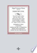 Libro Derecho Civil