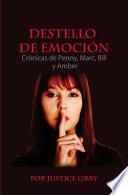Libro Destello de emoción