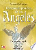 Libro Diccionario Práctico de Los Angeles