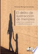 Libro El delito de sustracción de menores (Aspectos dogmáticos y jurisprudenciales)