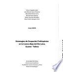 Estrategias de ocupación prehispánica en la Cuenca Baja del Río Luisa, Guamo-Tolima