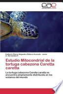 Estudio Mitocondrial de la tortuga cabezona Caretta caretta
