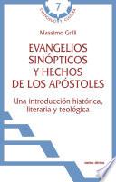 Libro Evangelios sinópticos y Hechos de los Apóstoles