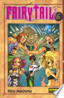 Libro Fairy Tail 5