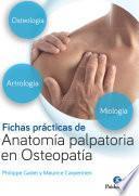 Fichas prácticas de anatomía palpatoria en osteopatía