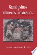 Libro Gambusinos y mineros mexicanos