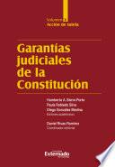Libro Garantías judiciales de la Constitución Tomo V
