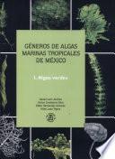 Géneros de algas marinas tropicales de México: Algas verdes