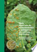 Libro Guía ilustrad de enfermedades y patógenos en cultivos hortícolas