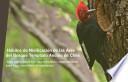 Hábitos de nidificación de las aves del bosque templado andino de Chile