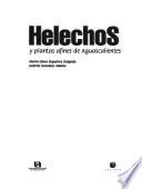 Helechos y plantas afines de Aguascalientes