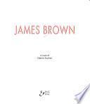 James Brown : [mostra], Galleria civica di arte contemporanea, Trento, 22 aprile - 25 giugno 1995 : [catalogo]