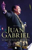Juan Gabriel: Lo Que Se Ve No Se Pregunta