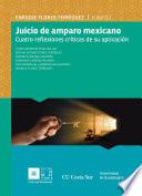 Libro Juicio de amparo mexicano