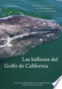 Las ballenas del Golfo de California