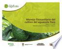 Manejo fitosanitario del cultivo del aguacate Hass (Persea americana Mill) medidas para la temporada invernal