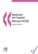 Medición del capital - Manual OCDE 2009 Segunda edición