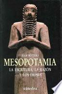 Libro Mesopotamia