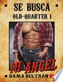 Libro Mi ángel