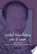 Libro Michel Houellebecq sous la loupe