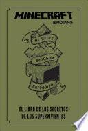Libro Minecraft