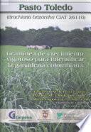 Pasto Toledo (Brachiaria brizantha CIAT 26110): Gramínea de crecimiento vigoroso para intensificar la ganadería colombiana