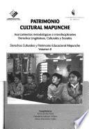 Patrimonio cultural mapunche: Derechos culturales y patrimonio educacional mapunche