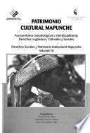 Patrimonio cultural mapunche