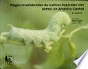 Plagas invertebradas de cultivos tropicales con énfasis en América Central: un inventario