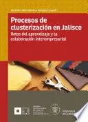 Libro Procesos de clusterización en Jalisco