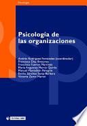 Libro Psicología de las organizaciones