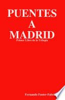 Libro Puentes a Madrid