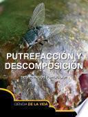 Libro Putrefaccin y descomposicin / Rot and Decay