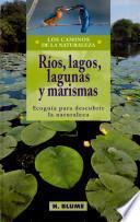 Rios, Lagos, Lagunas y Marismas