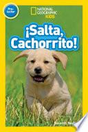 Libro Salta, Cachorrito