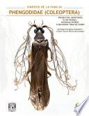 Libro Sinopsis de la Familia Phengodidae (Coleoptera): Trenecitos, bigotudos, glow-worms, railroad-worms o besouros trem de ferro