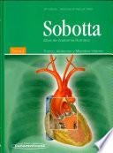 Libro Sobotta Atlas de anatomia humana / Sobotta Atlas of the Human Anatomy