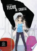 Libro Techo de cristal