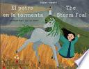 Libro The Storm Foal El potro en la tormenta: El potro en la tormenta