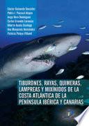 Libro Tiburones, Rayas, Quimeras, Lampreas y Mixínidos de la Península Ibérica y Canarias